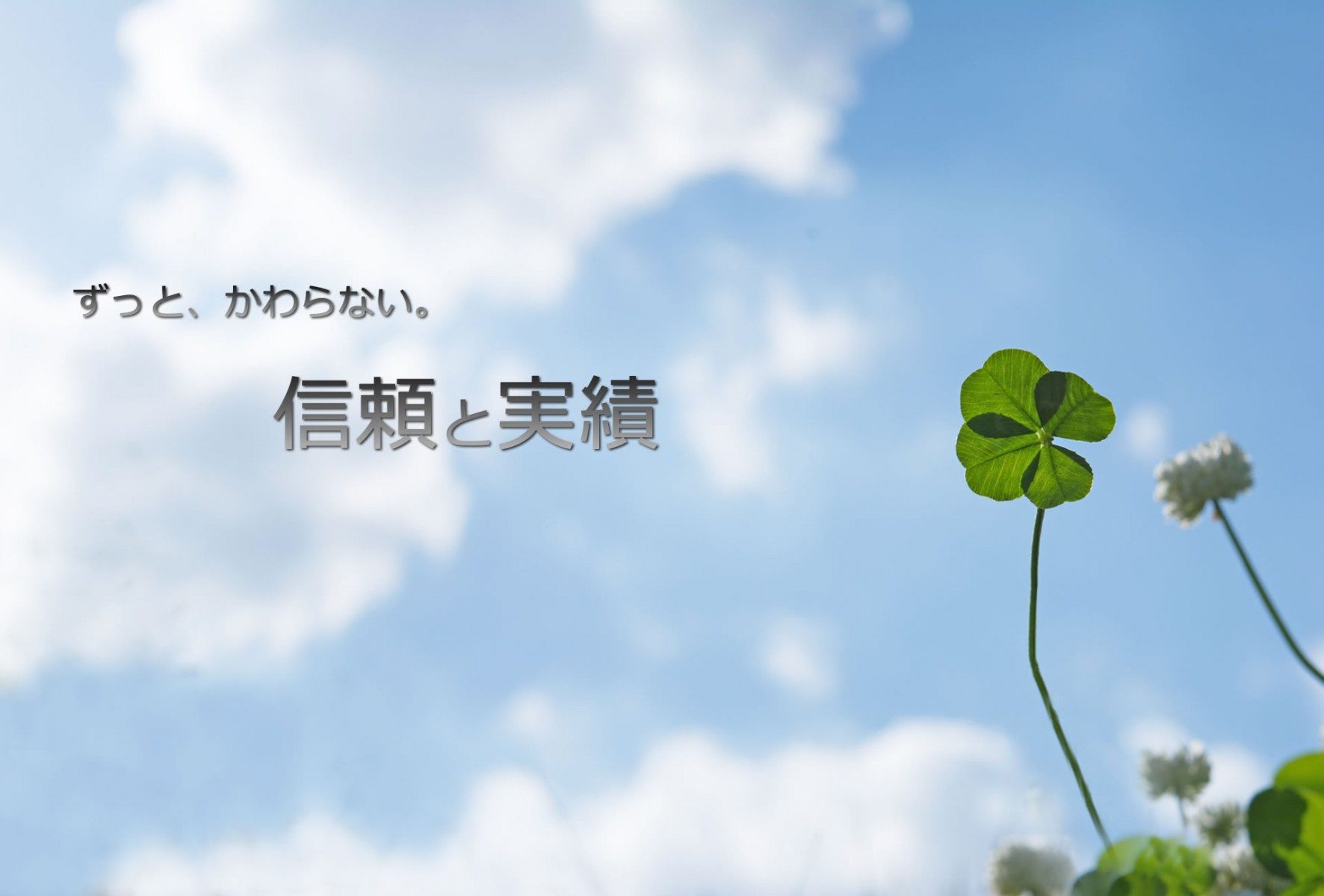 有限会社 四ツ葉工業／茨城県神栖市／とび・土木コンクリート工事、鋼構造物工事、土木・建築一式工事請負,管工事